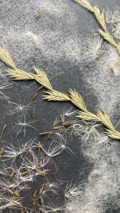 Vilnas glezna: Māksla, ko var sajust