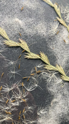 Vilnas glezna: Māksla, ko var sajust