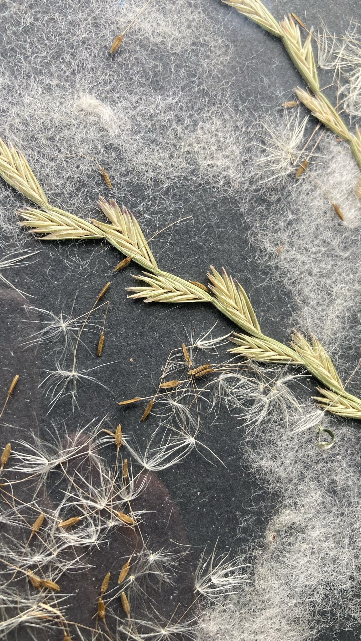 Vilnas glezna: Māksla, ko var sajust