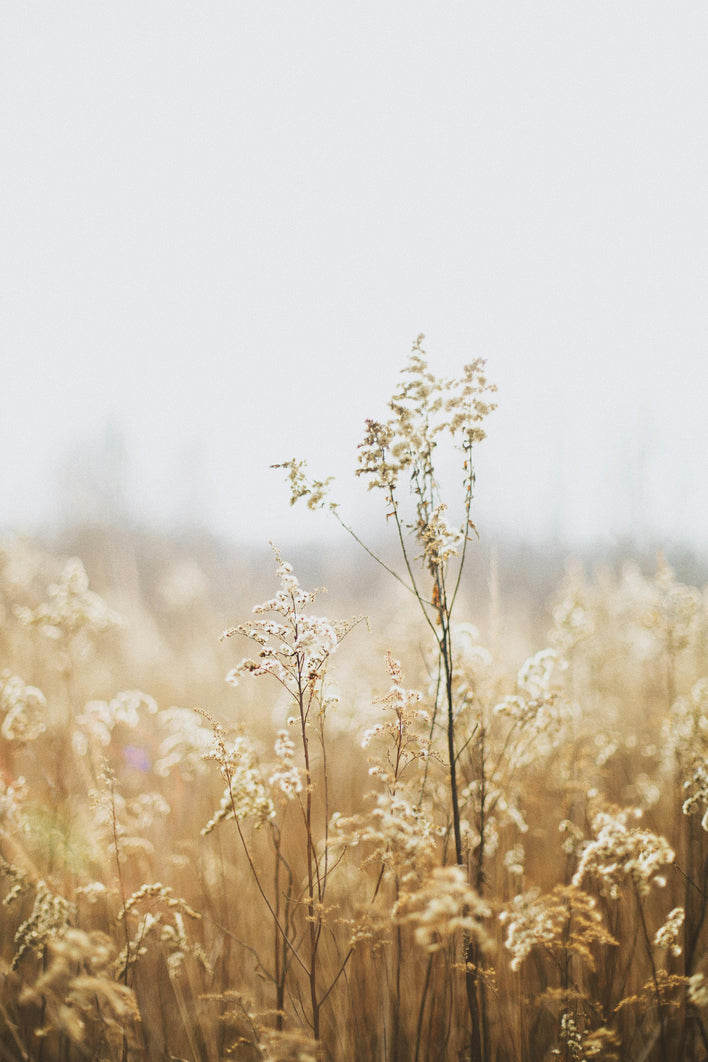 Biežāk uzdotie jautājumi